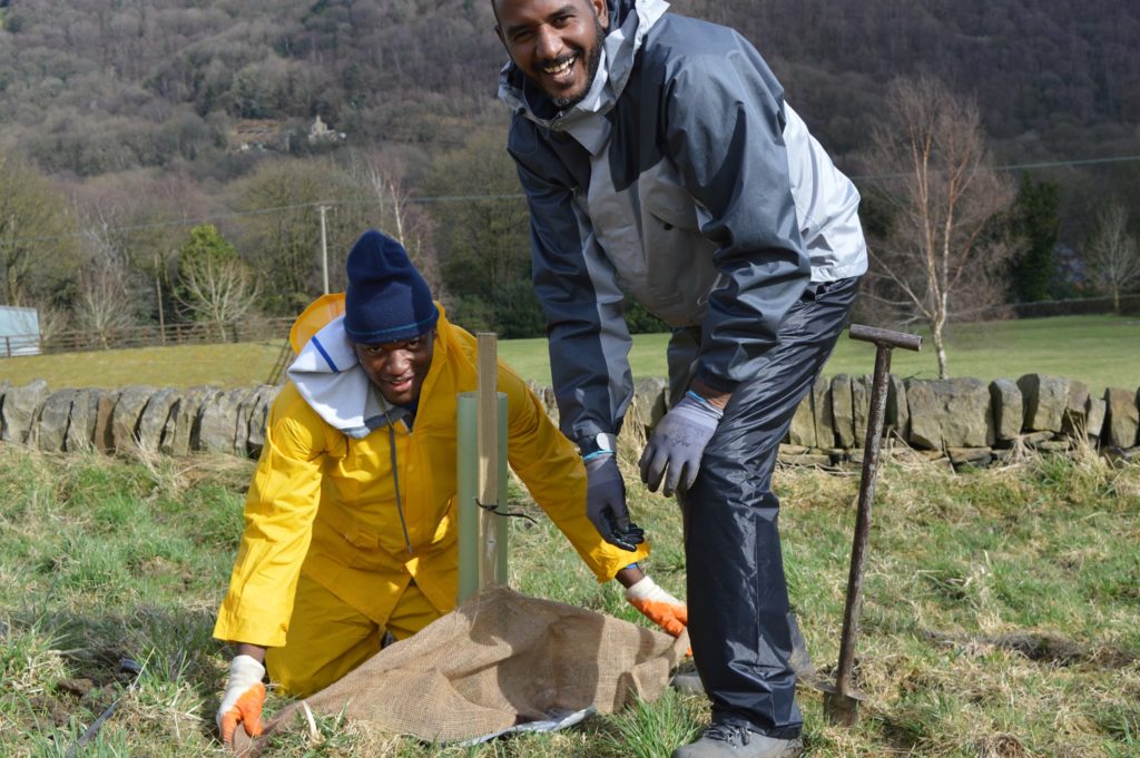 Two people planting trees