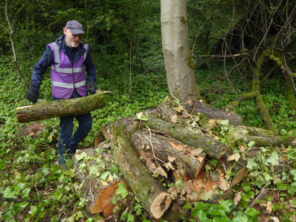 Man carrying large log to log pile