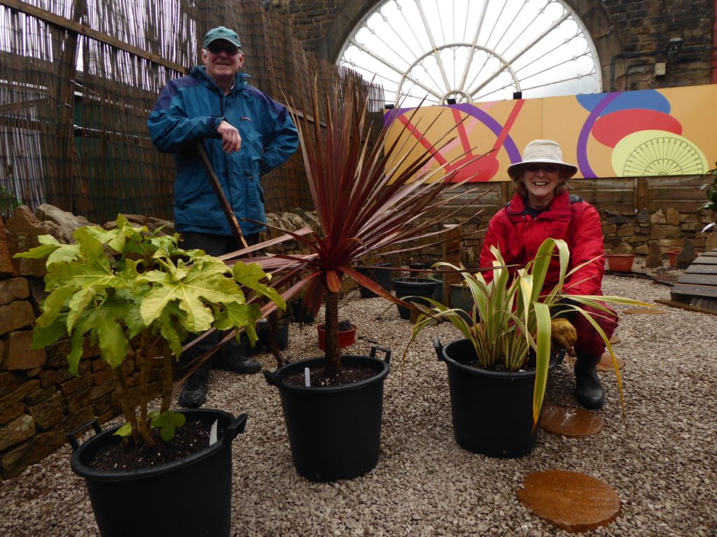 A man and a woman smiling at the camera in an indoor garden with plant pots, behind them is a fanlight windown.